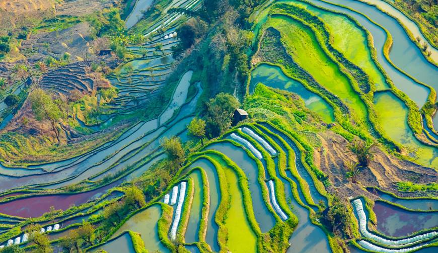 宝妈必备神器：金城江区产品视频拍摄轻松育儿好帮手